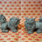 Guardian IBUSHI shisa lion ornament set